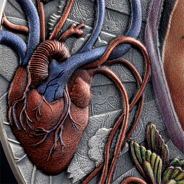 Frida_fragm3_600x600 Frida_fragm3_600x600