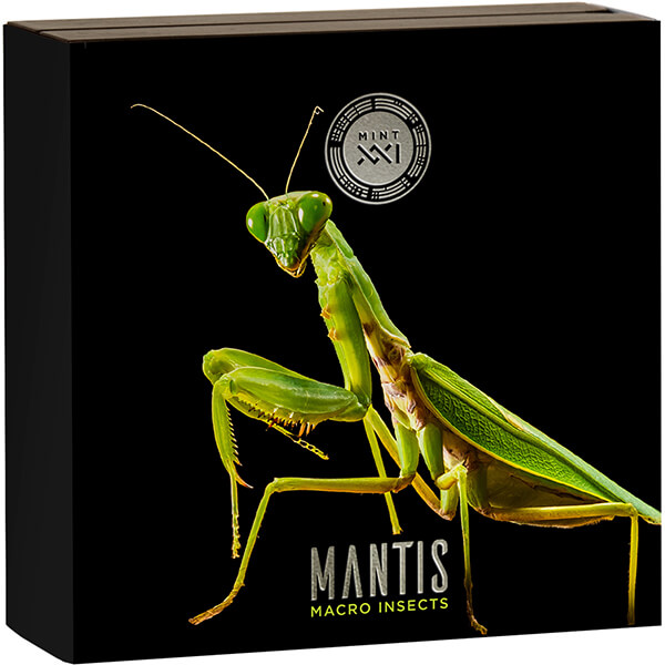 NU1375__Macro Insects_Mantis_6 NU1375__Macro Insects_Mantis_6