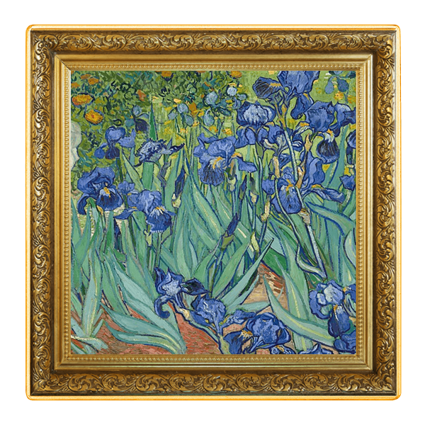 Irises